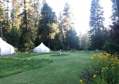 Mt Shasta Retreat with Chloe Pedalino, energy therapist