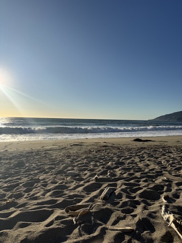 Chloe Pedalino hosting a transformational retreat in Mt. Shasta CA